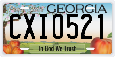 GA license plate CXI0521