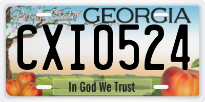 GA license plate CXI0524