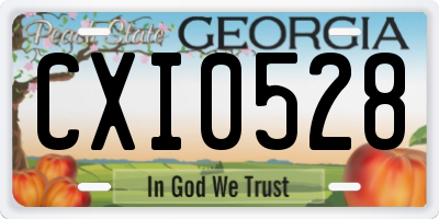 GA license plate CXI0528