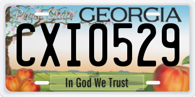 GA license plate CXI0529