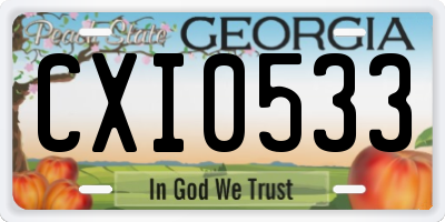 GA license plate CXI0533