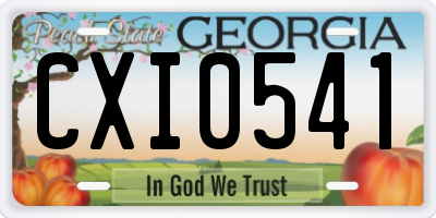 GA license plate CXI0541