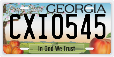 GA license plate CXI0545