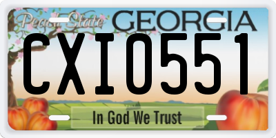 GA license plate CXI0551