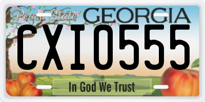 GA license plate CXI0555