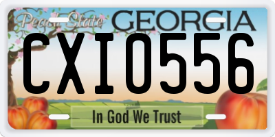 GA license plate CXI0556
