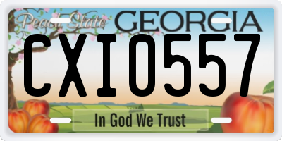 GA license plate CXI0557