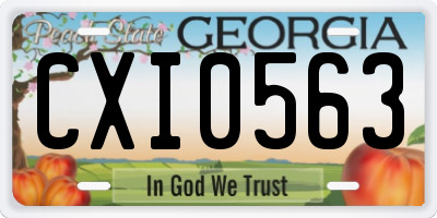 GA license plate CXI0563