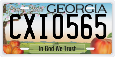 GA license plate CXI0565