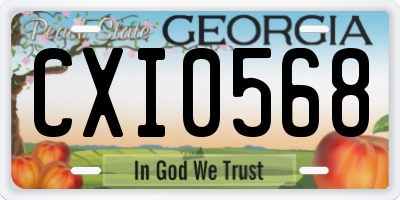 GA license plate CXI0568