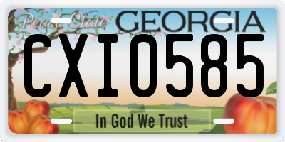 GA license plate CXI0585