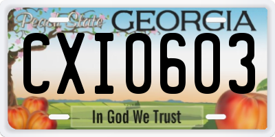 GA license plate CXI0603