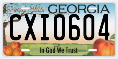 GA license plate CXI0604