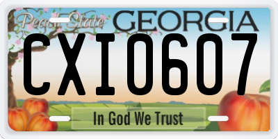 GA license plate CXI0607
