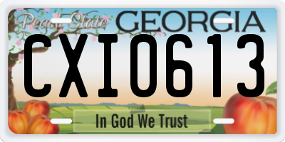 GA license plate CXI0613