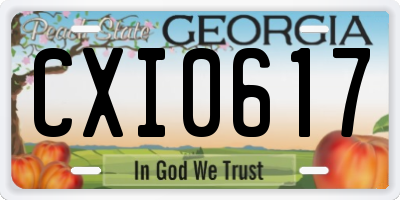 GA license plate CXI0617