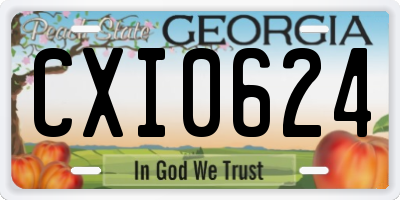 GA license plate CXI0624