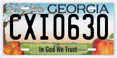 GA license plate CXI0630