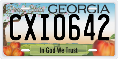 GA license plate CXI0642