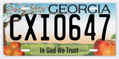 GA license plate CXI0647