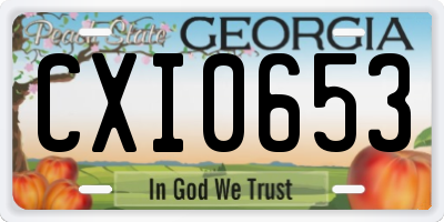 GA license plate CXI0653