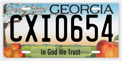 GA license plate CXI0654