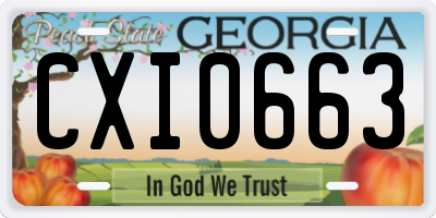 GA license plate CXI0663