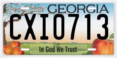 GA license plate CXI0713