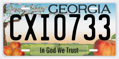 GA license plate CXI0733