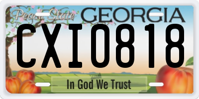 GA license plate CXI0818