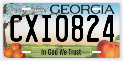 GA license plate CXI0824