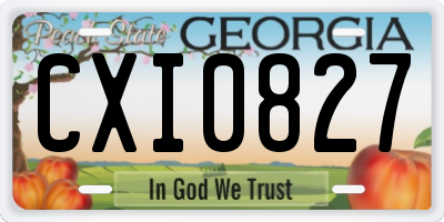 GA license plate CXI0827