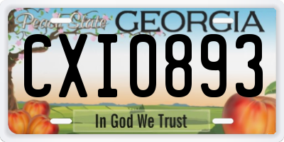 GA license plate CXI0893