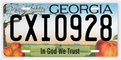 GA license plate CXI0928