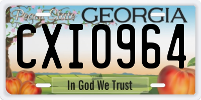 GA license plate CXI0964