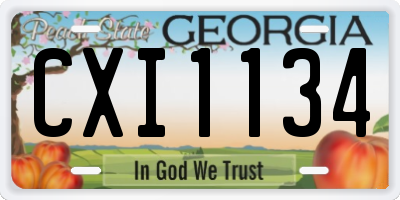 GA license plate CXI1134