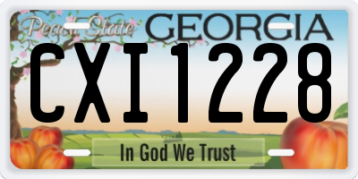 GA license plate CXI1228