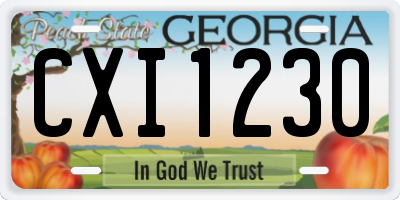 GA license plate CXI1230