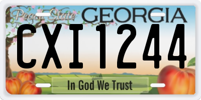 GA license plate CXI1244