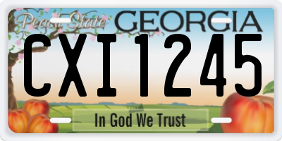 GA license plate CXI1245