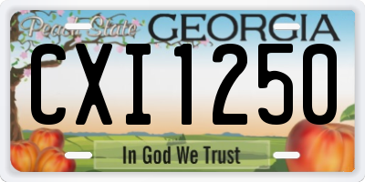 GA license plate CXI1250