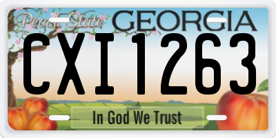 GA license plate CXI1263