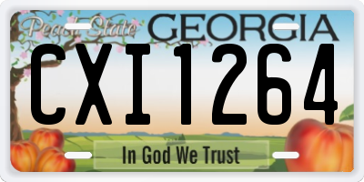 GA license plate CXI1264