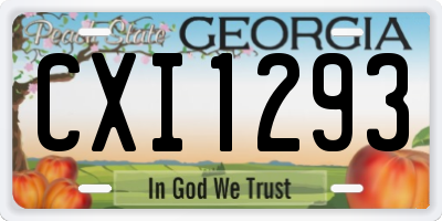 GA license plate CXI1293