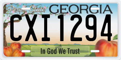 GA license plate CXI1294