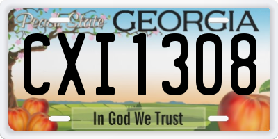 GA license plate CXI1308