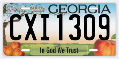 GA license plate CXI1309
