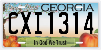 GA license plate CXI1314