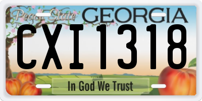 GA license plate CXI1318