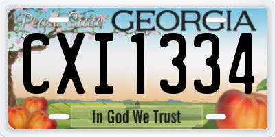 GA license plate CXI1334